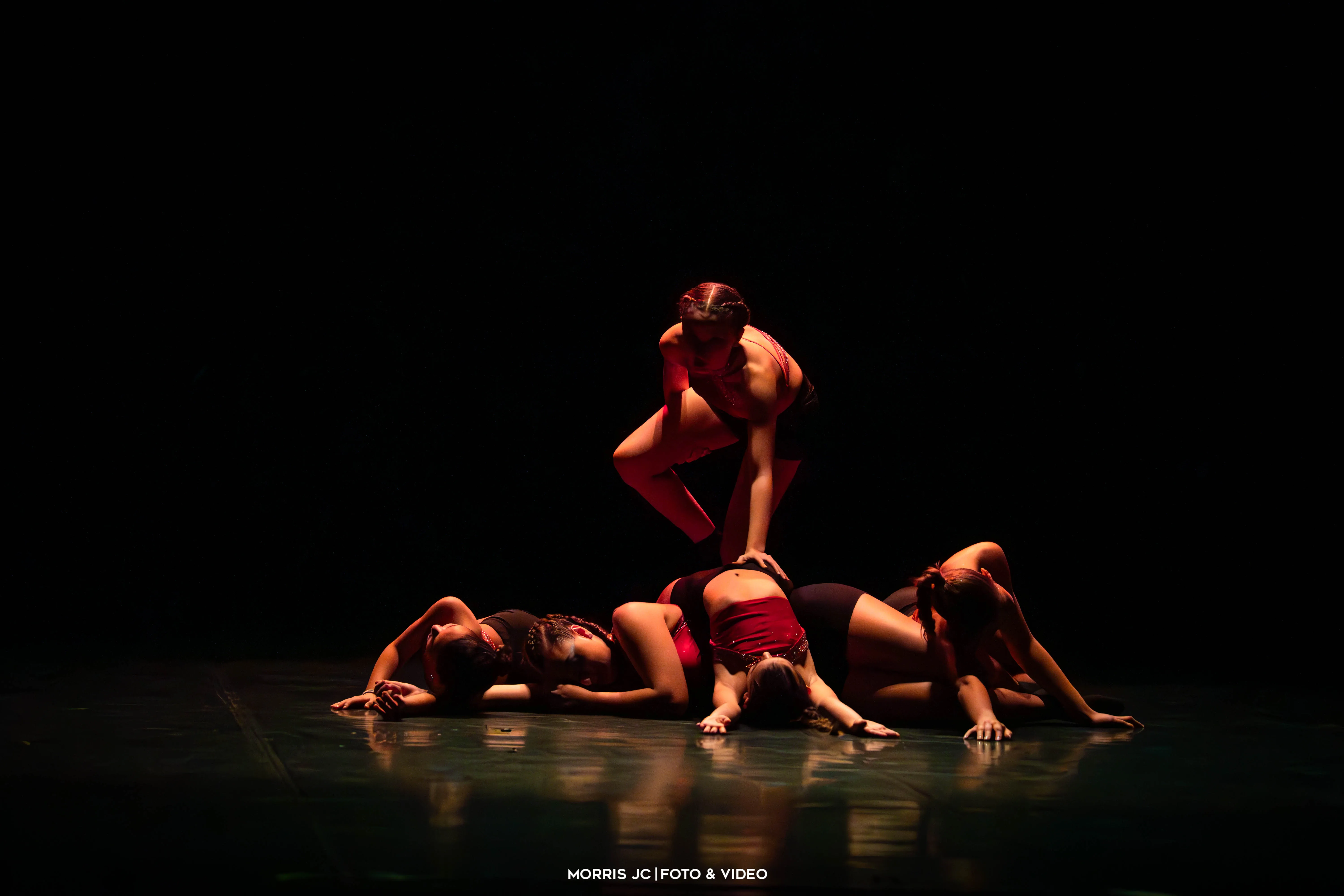 Foto & Video - Servizio Morris JC